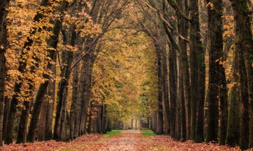 Wandelen In De Achterhoek De Mooiste Wandelroutes