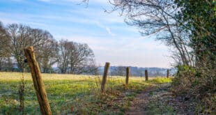 Wandelen in Twente: de 10 mooiste wandelroutes!