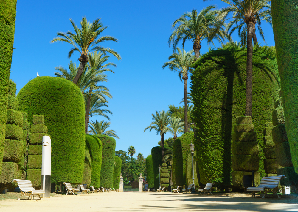 De 11 beste bezienswaardigheden in Cádiz